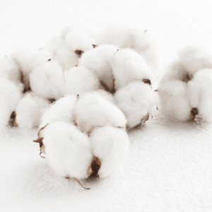 Fiber Crops