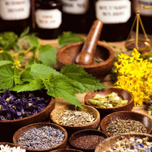 Herbs & Medicinal Plants